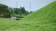Lymow One Plus Robotic Lawn Mower