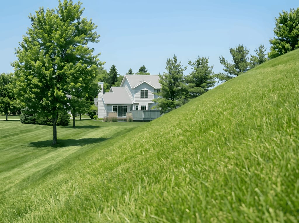 Lymow One Plus Robotic Lawn Mower
